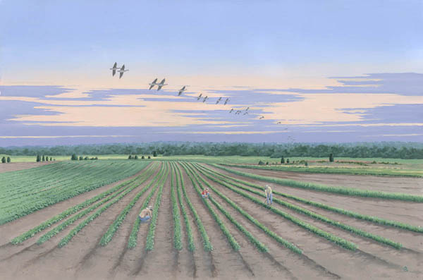 Morning Glory Farm Martha's Vineyard - Oil Painting by Christopher Crofton-Atkins